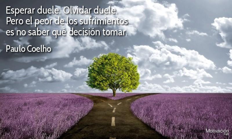  Esperar duele. Olvidar duele. Pero el peor de los sufrimientos es no saber qué decisión tomar.  - Paulo Coelho