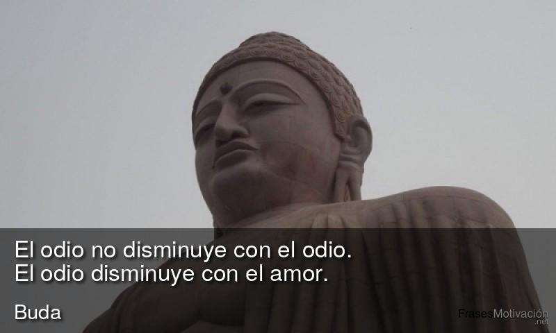  El odio no disminuye con el odio. El odio disminuye con el amor.  - Buda